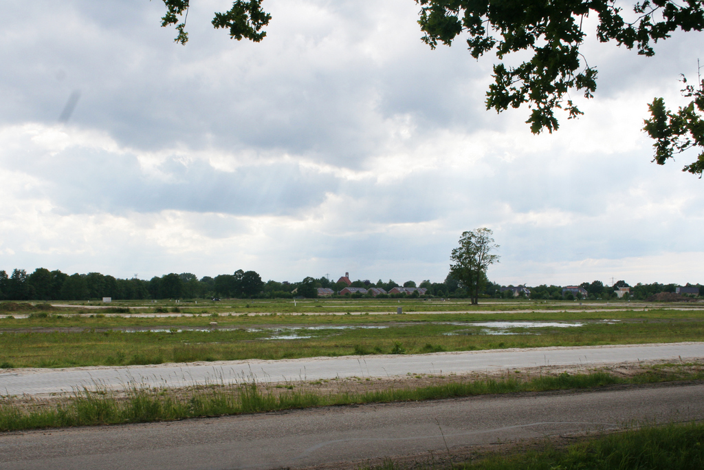 Met het uitbreidingsplan Westermaten Hengelo ging een geweldig kievitengebied verloren foto Johan Drop