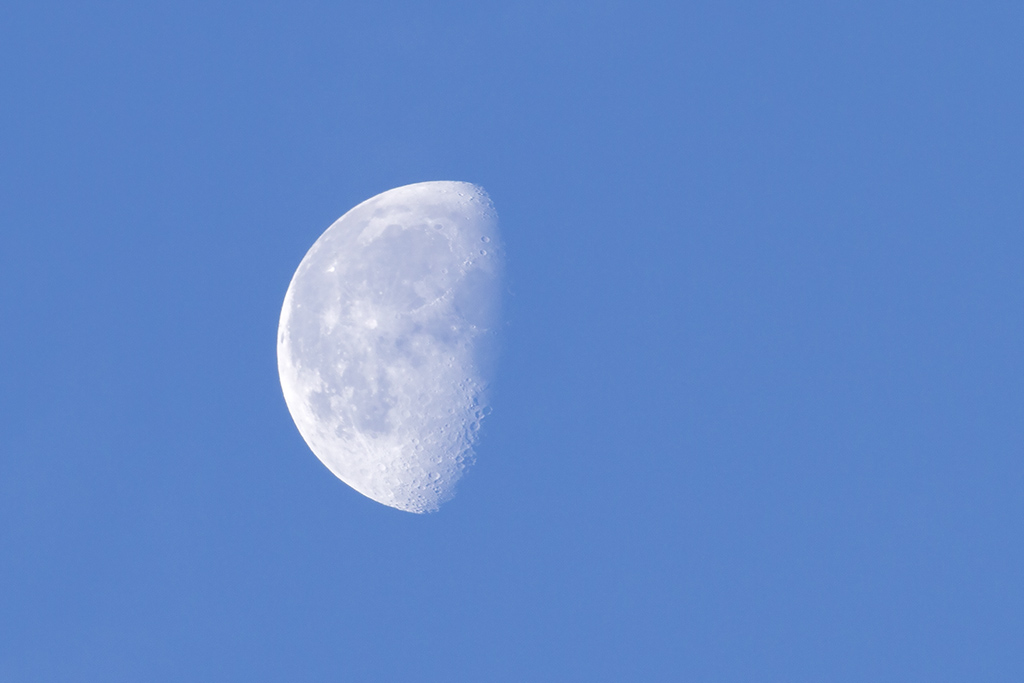 De maan  tijdens Eurobirdwatch   foto Wim Wijering